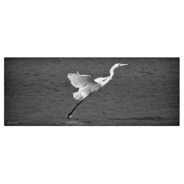 PHOTO84, CLUB, 84 , LUBERON